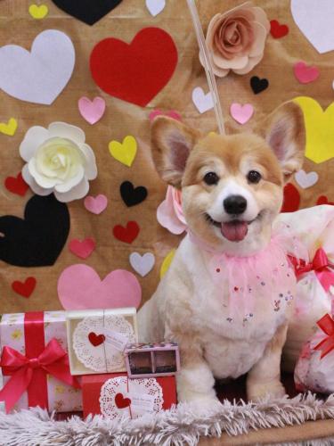 20230214ナナちゃん